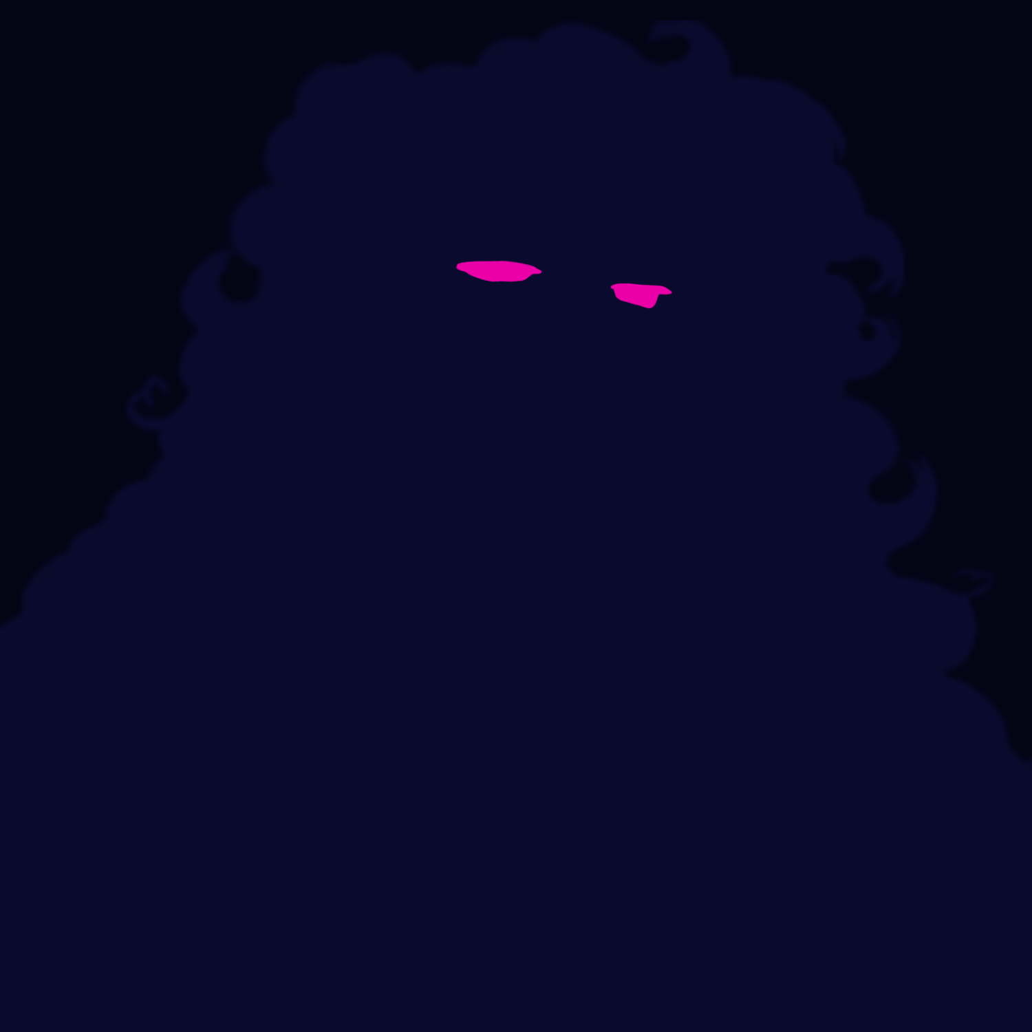 Anonymous Sponsor
